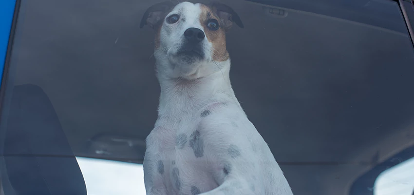 Car Lockout Solutions in Upland, California